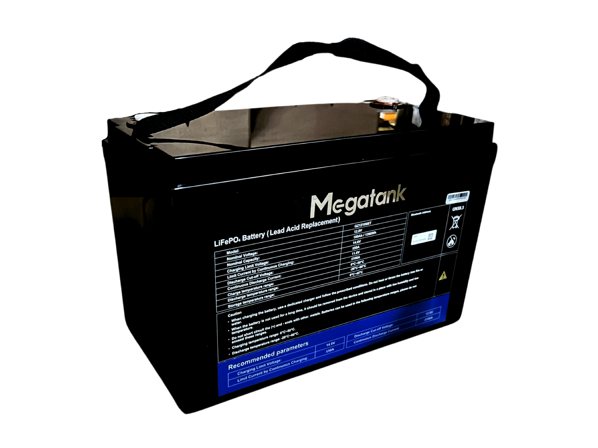 LiFePo4 акумулятор 12В 100А*год (1200 Вт*год) для UPS / ДБЖ, батарея LiFePo4 Megatank 12V 100Ah